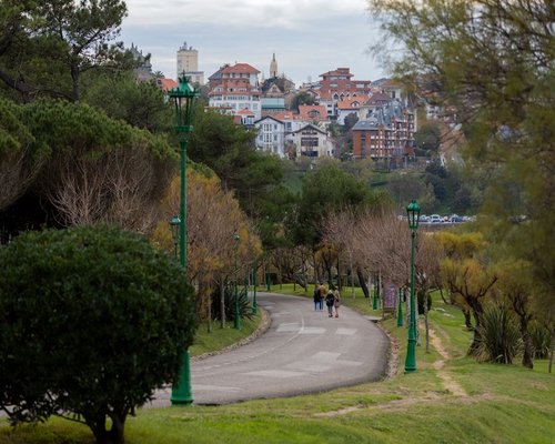 Calm walk through a Colombian city park in the afternoon